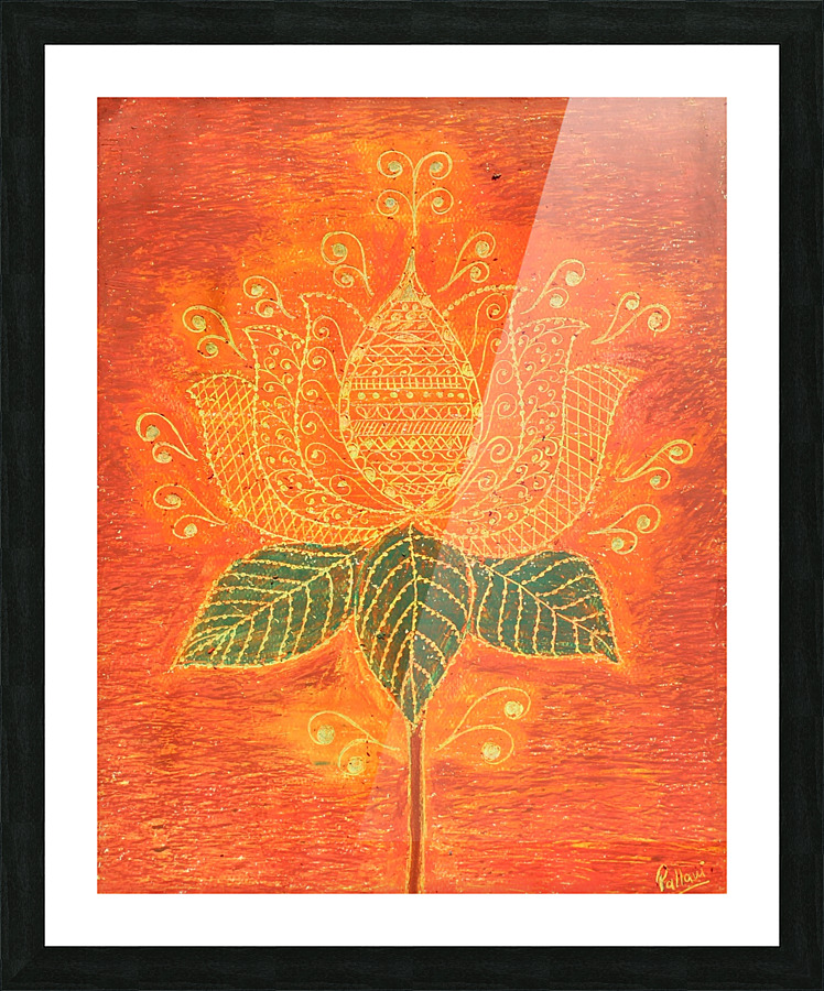 Lotus  Framed Print Print