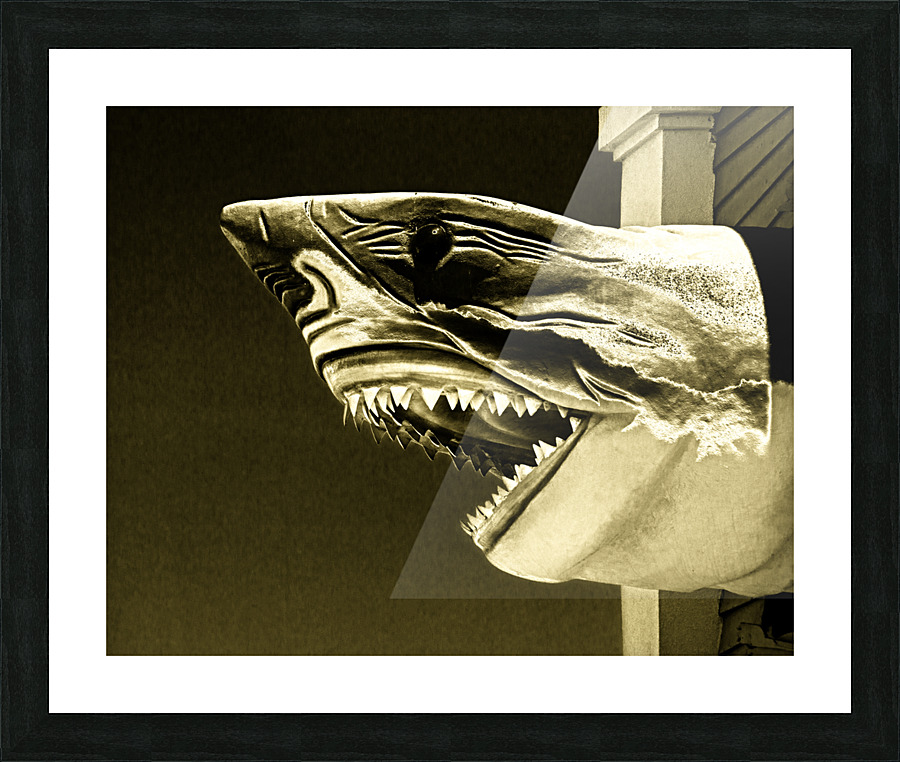 Golden Shark in Ocean City Picture Frame print