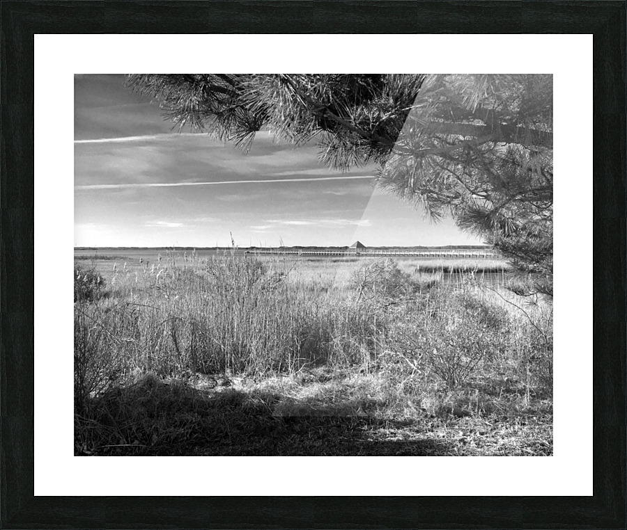 Northside Park Pier and Marsh in Black and White Picture Frame print