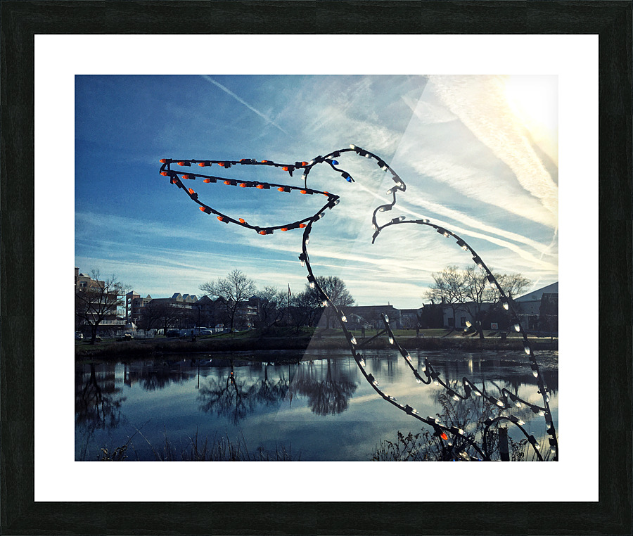 Ocean City Winterfest of Lights Pelican Picture Frame print