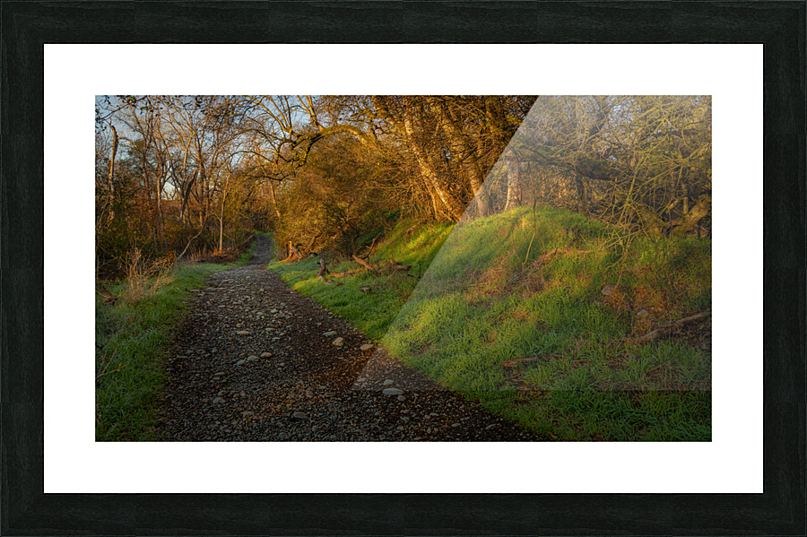 Morning Walk Picture Frame print