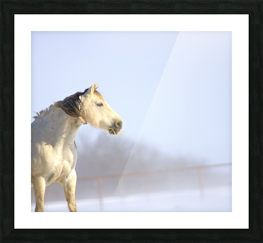 Snow White Impression et Cadre photo