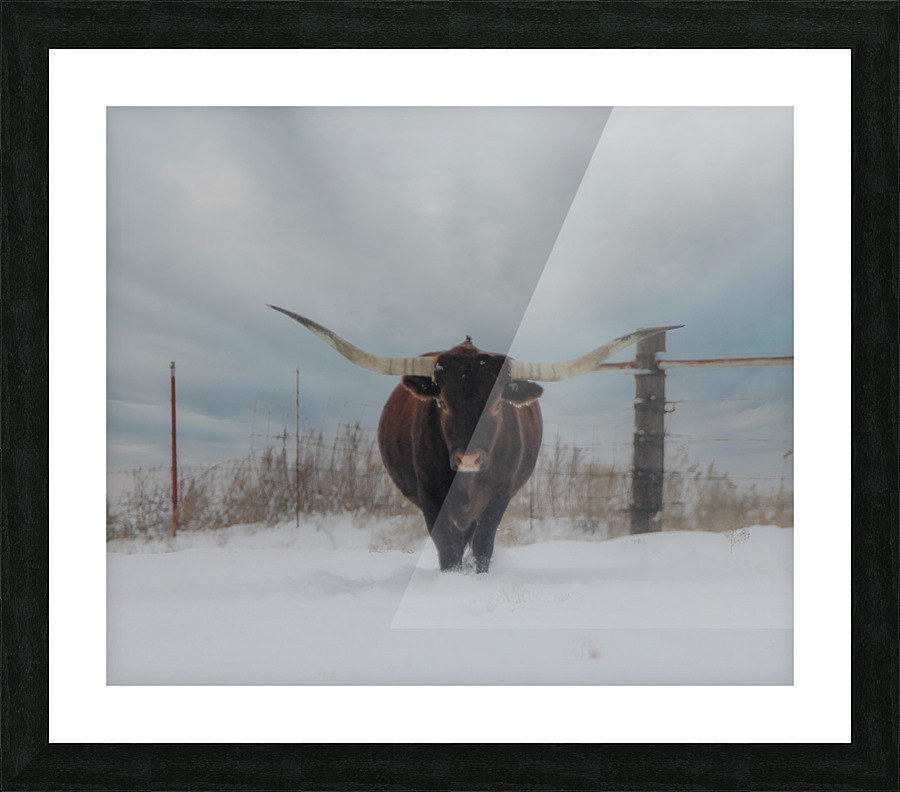 Little D Picture Frame print