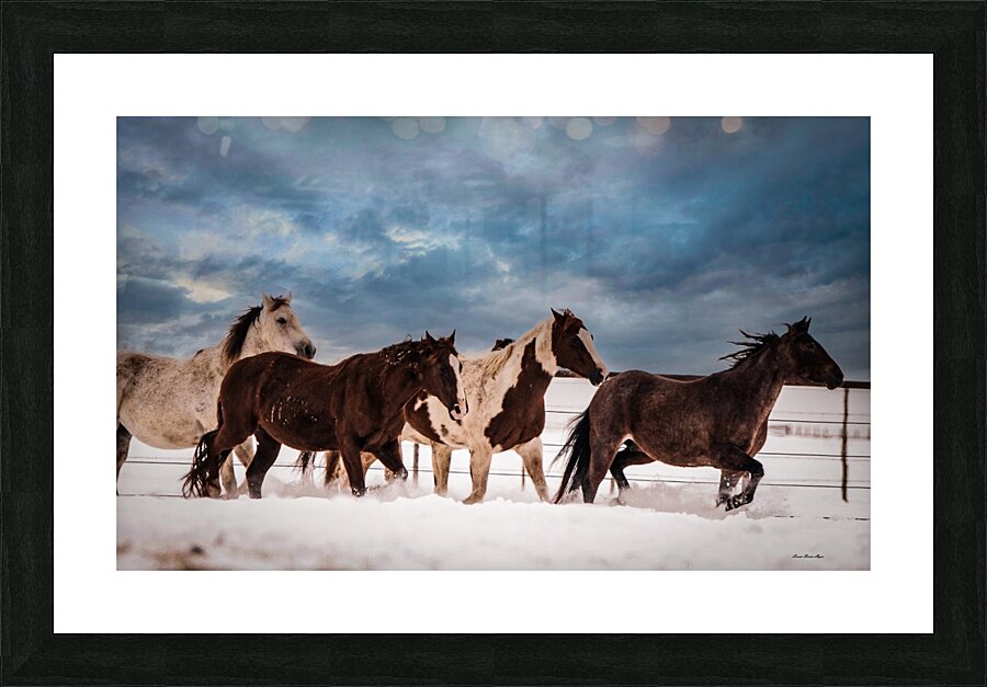 Wild Horses Picture Frame print