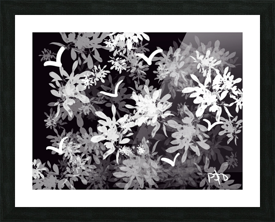 Black & White World Picture Frame print