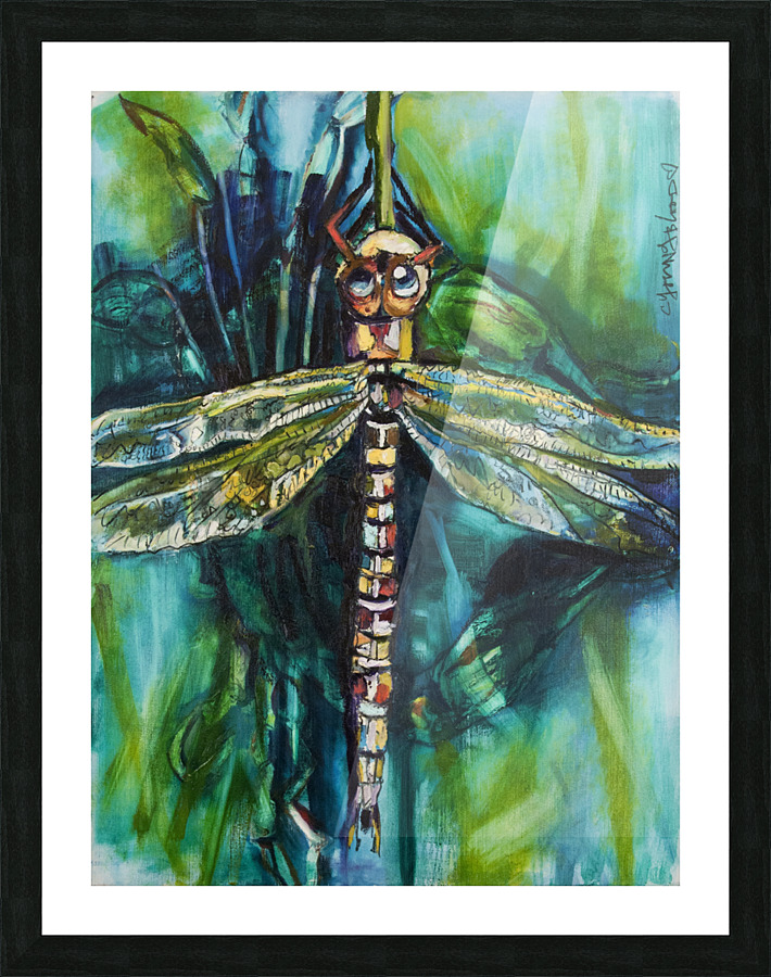 Louisiana Dragonfly Impression et Cadre photo