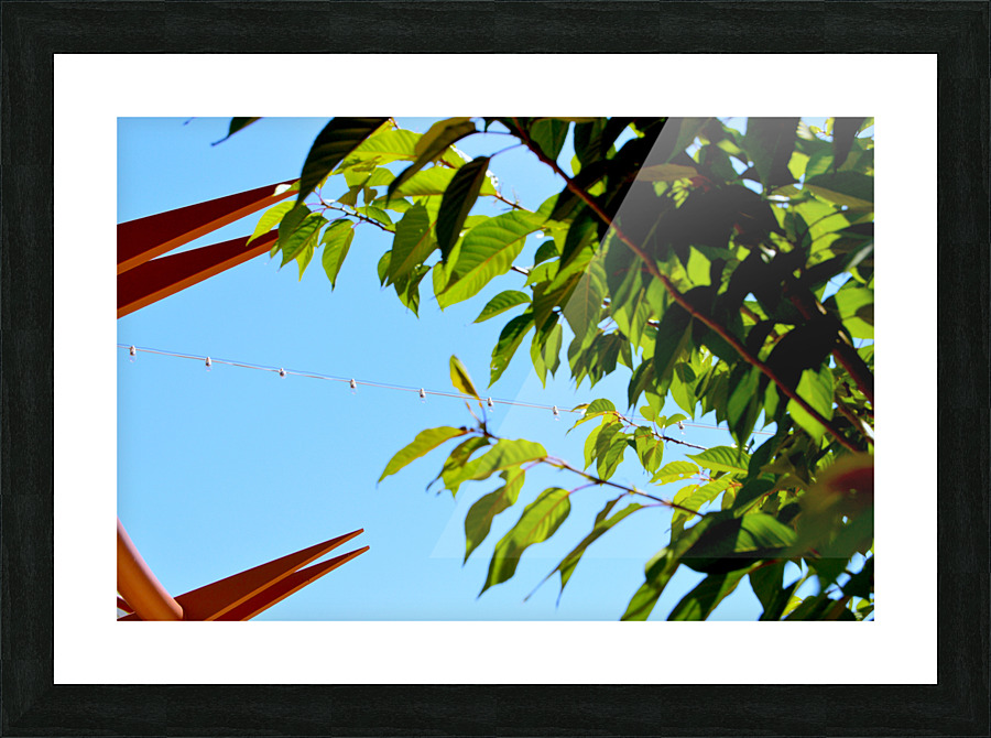  Fine Art print