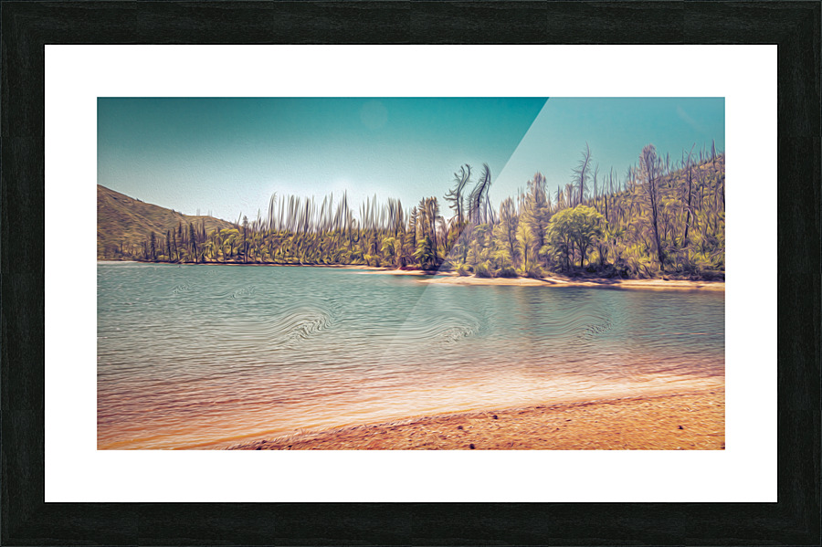 Too Much Whiskey Picture Frame print