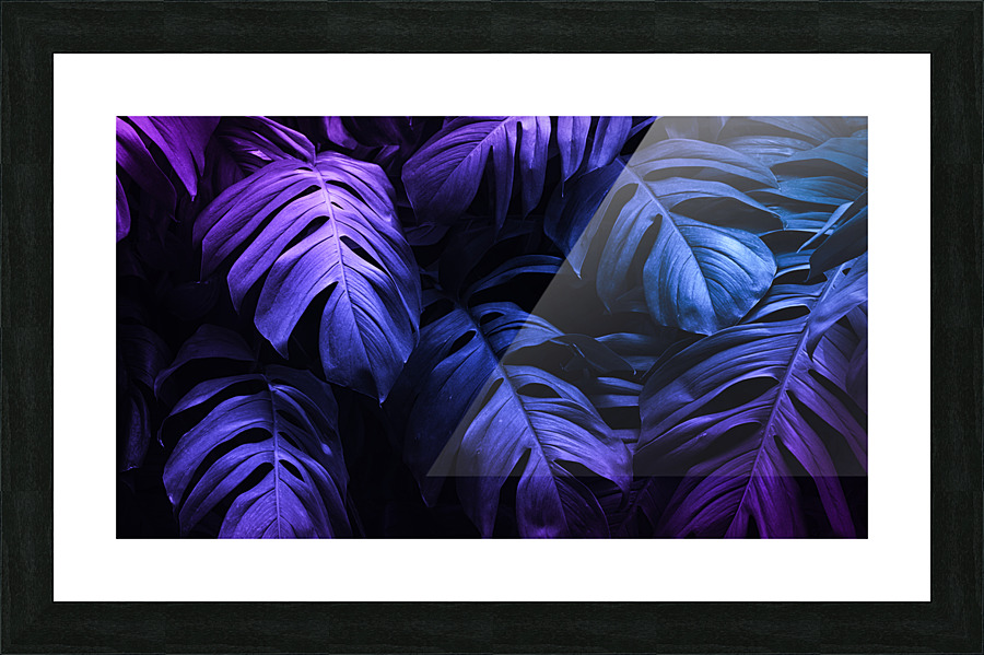 tropical leaves under purple light Picture Frame Printing