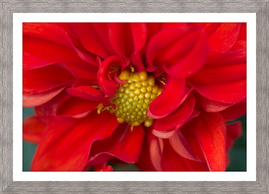 Red and Yellow Picture Frame print