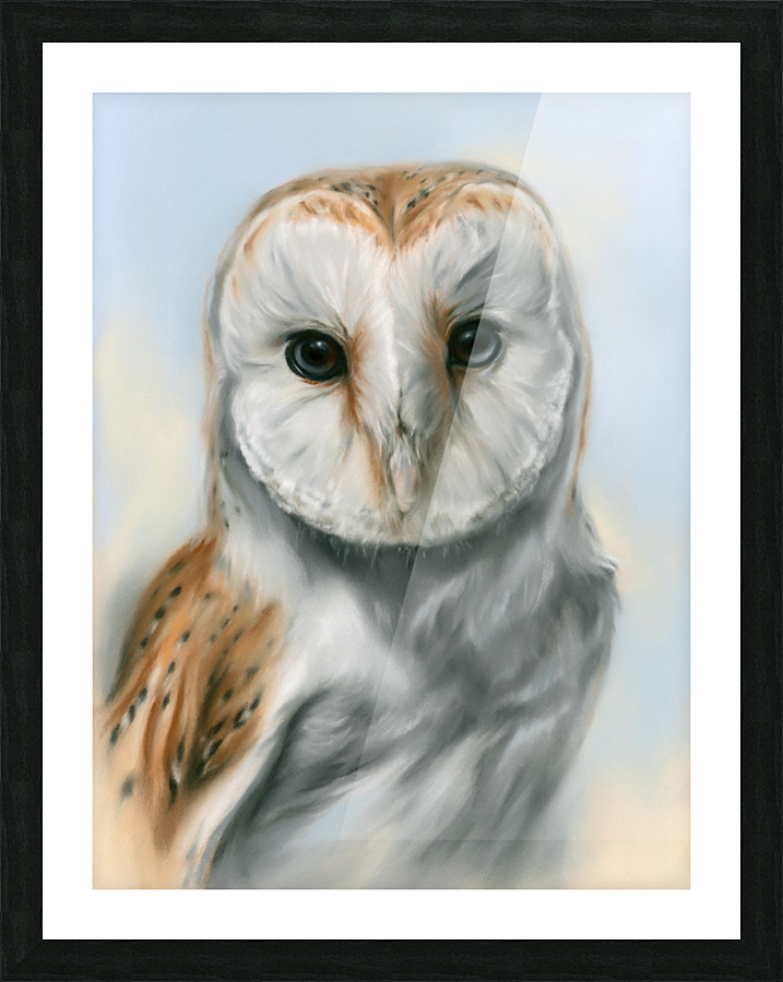 Barn Owl Perceptive Gaze Picture Frame print
