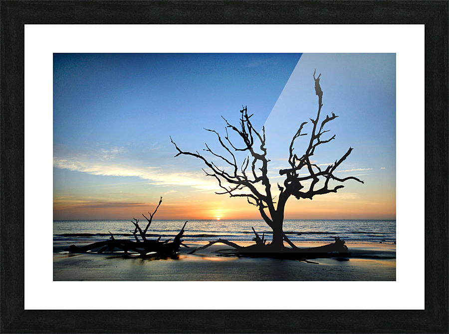 Iconic Tree Sunrise at Driftwood Beach Jekyll Island Picture Frame print