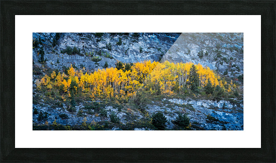 Autumn in the rockies Picture Frame print