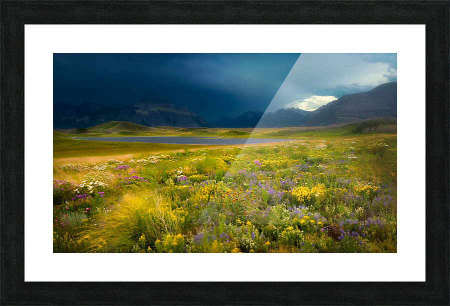 The Apocalypse Picture Frame print