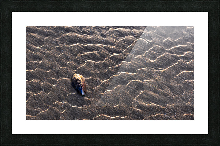 Lost Picture Frame print