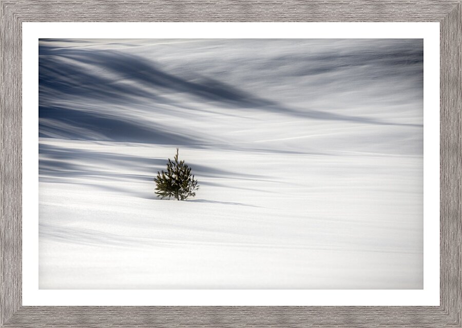 Solitude  Framed Print Print