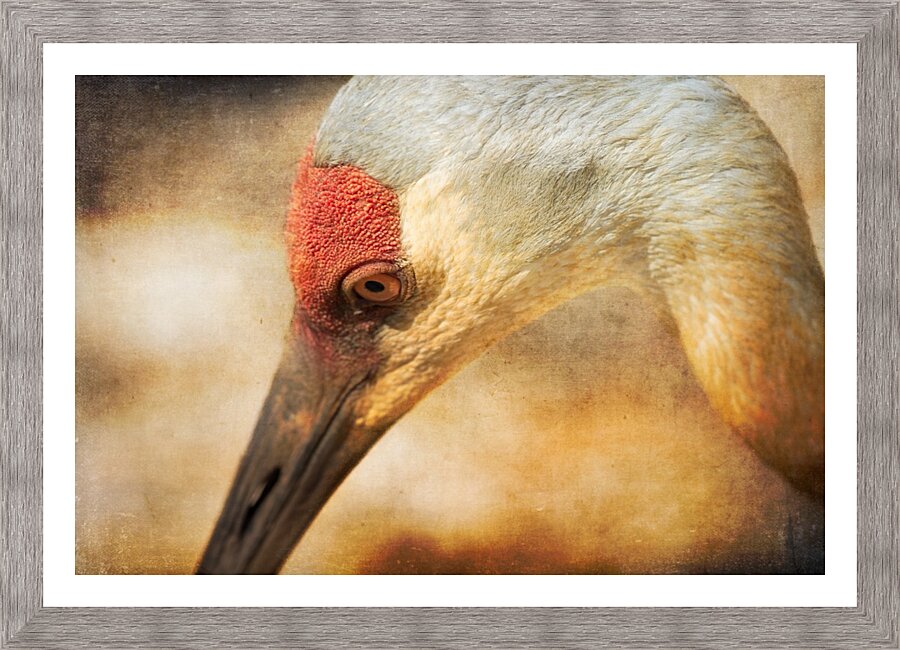 Solace Picture Frame print