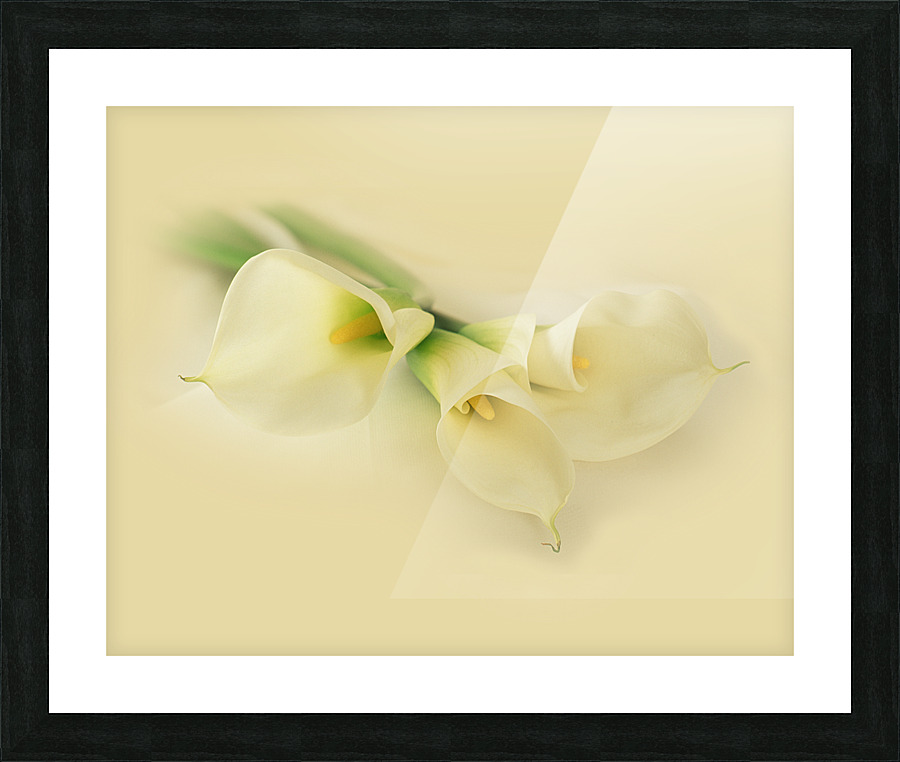 CalaLilly Picture Frame print