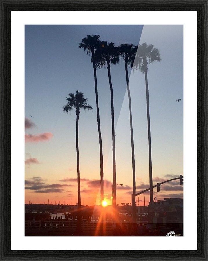 San Diego,  Picture Frame print