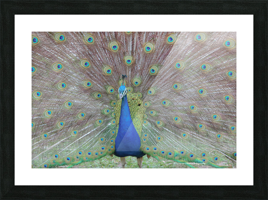 WILD IS MY FAVORITE COLOR SERIES-6 Picture Frame print