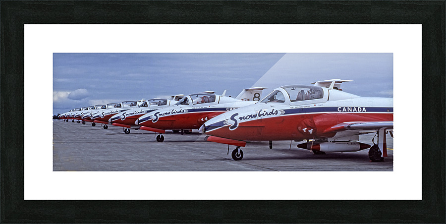 Snowbirds Between Shows Picture Frame print