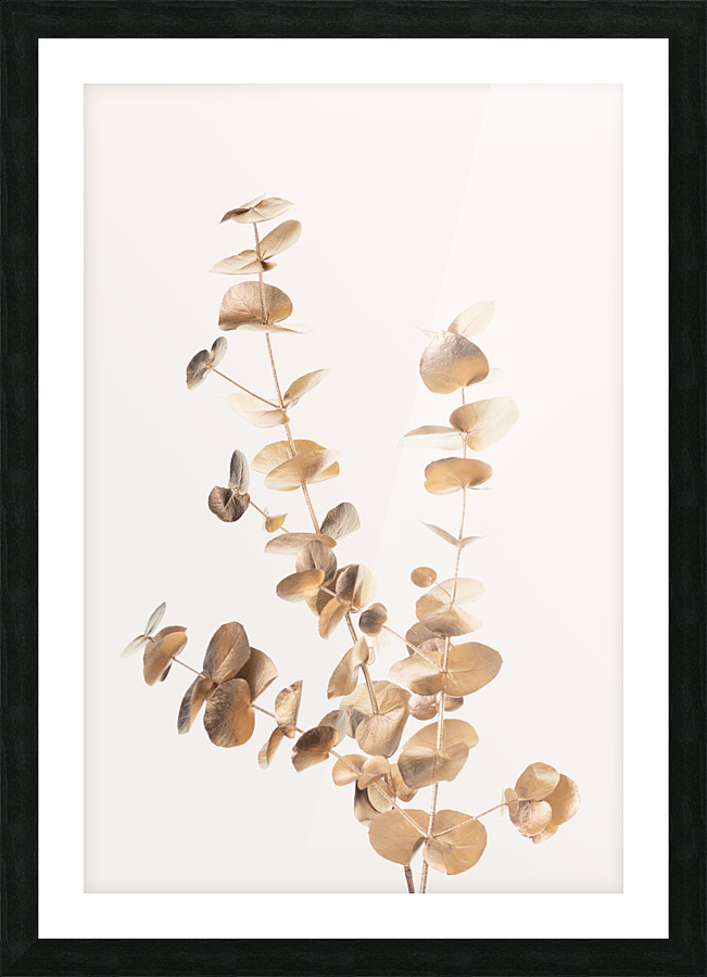 Eucalyptus Gold No 04 Picture Frame print
