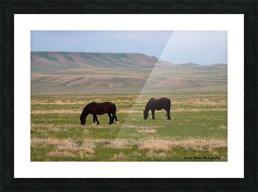 Wild Beauties Picture Frame print