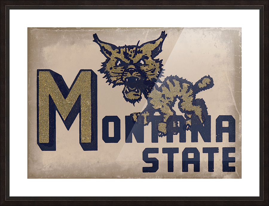 Vintage Montana State Bobcat Art Picture Frame print