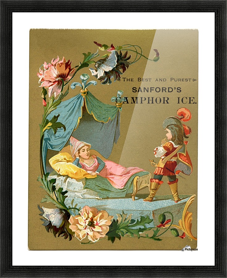 Sleeping Beauty Illustration Graphics Fairy Vintage Poster  Framed Print Print