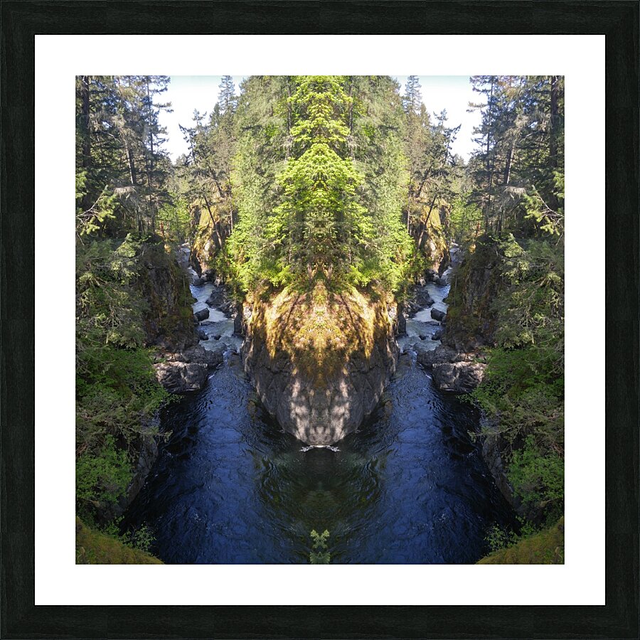 Sacred Deer  Framed Print Print