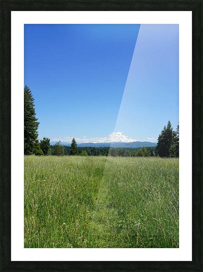 Mount Rainier Pacific Northwest United States Picture Frame print