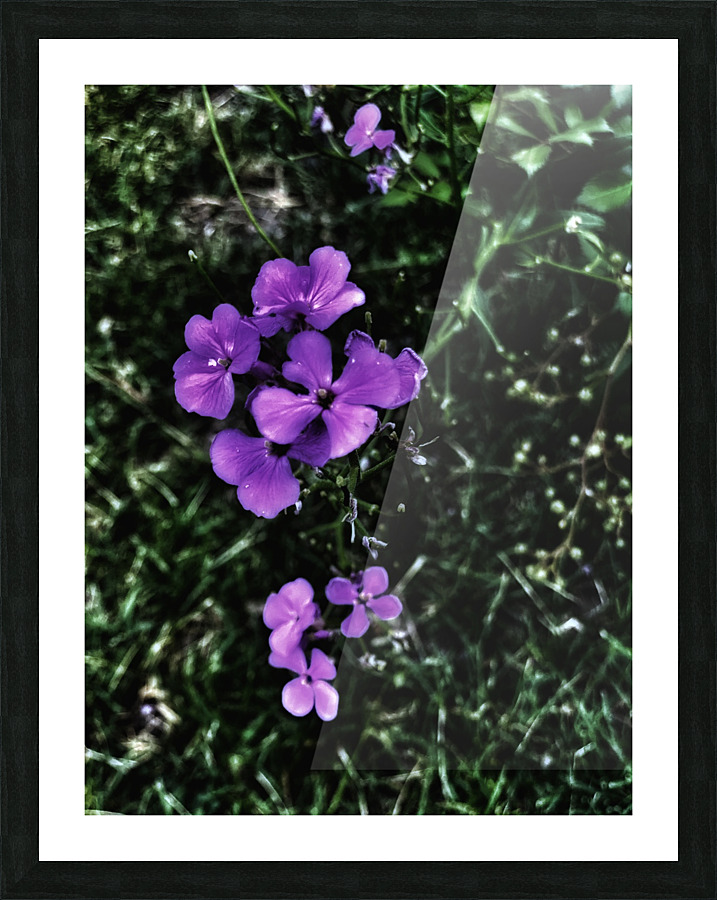 9A0CA0D8 1CB1 42C3 9CA2 CCF4751CBA0B Picture Frame print