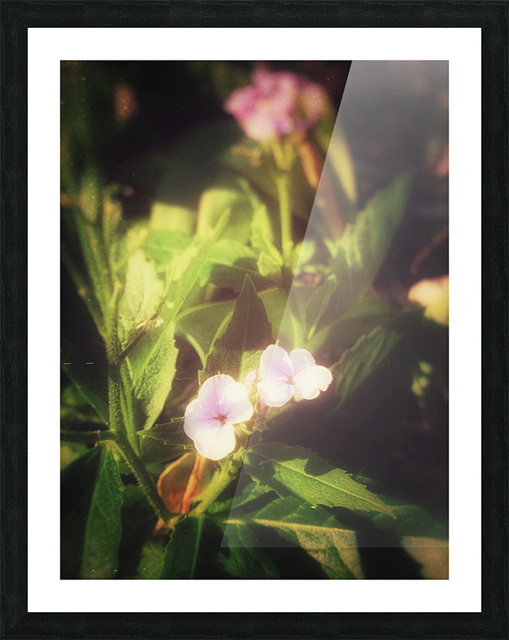 5B22A532 948D 419C B036 7E0E683D359F Picture Frame print