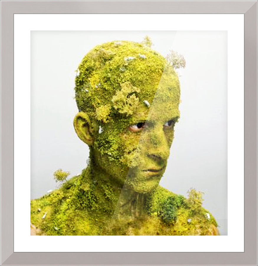 346 Picture Frame print