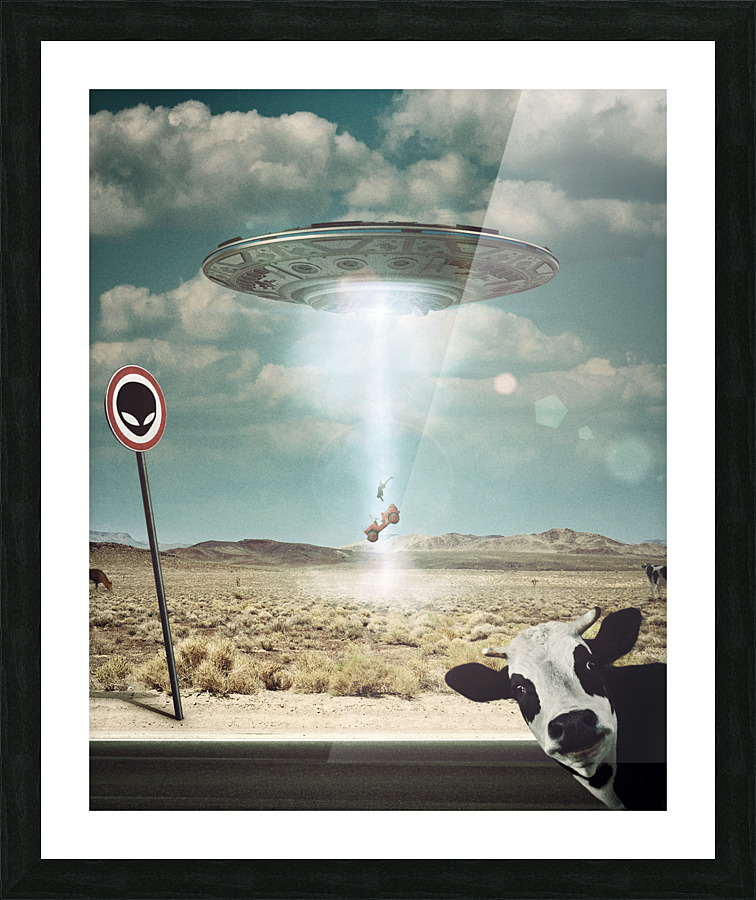 Unexpected Travel 3 Picture Frame print