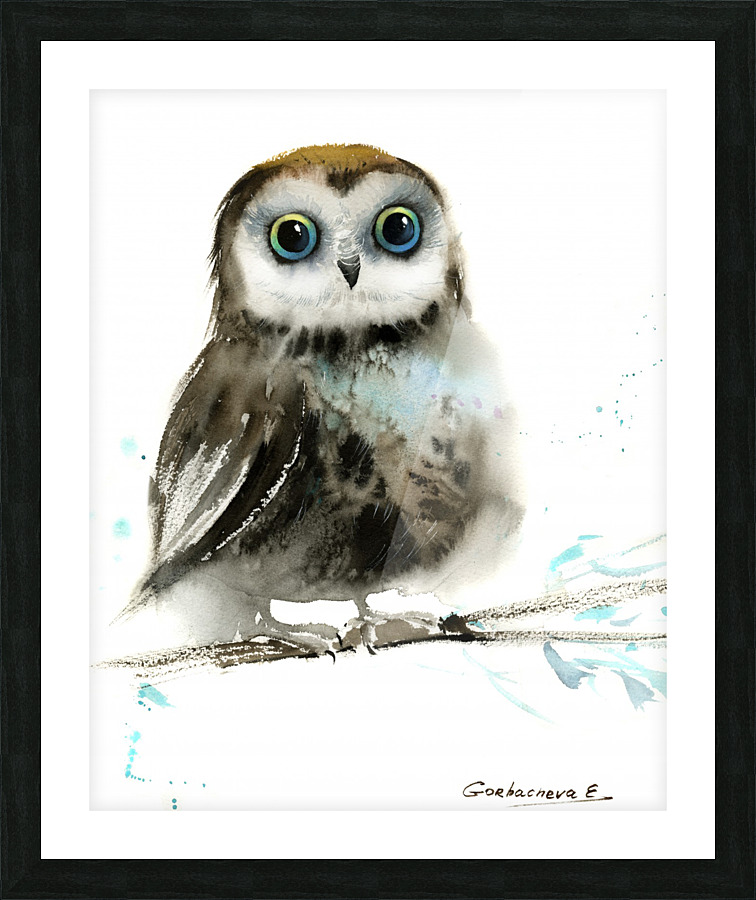 Little owl on a branch 4  Framed Print Print