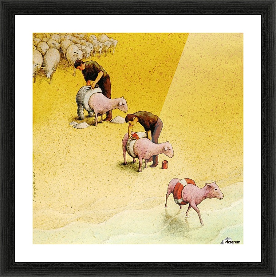 Sheep Picture Frame print