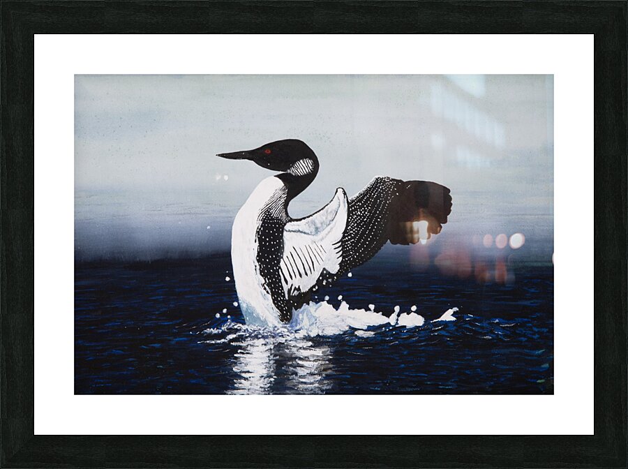 Common Loon Painting Picture Frame print