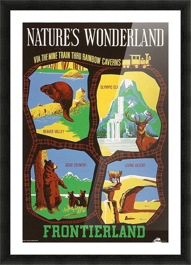 Frontierland Natures Wonderland attraction poster Picture Frame print