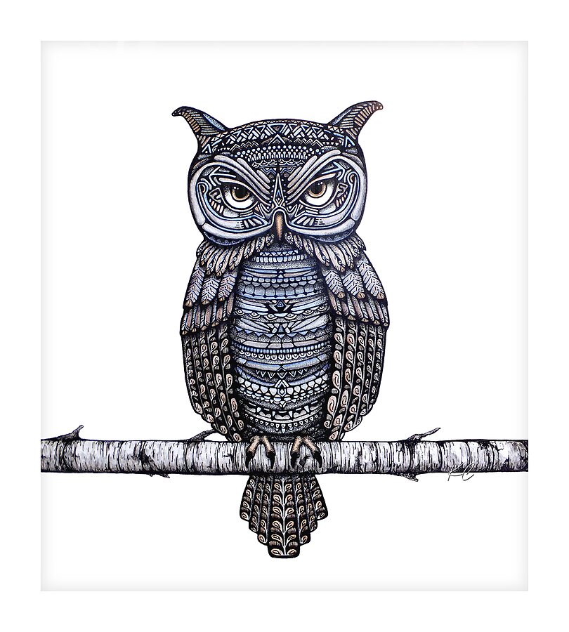 Geo-Owl Picture Frame print