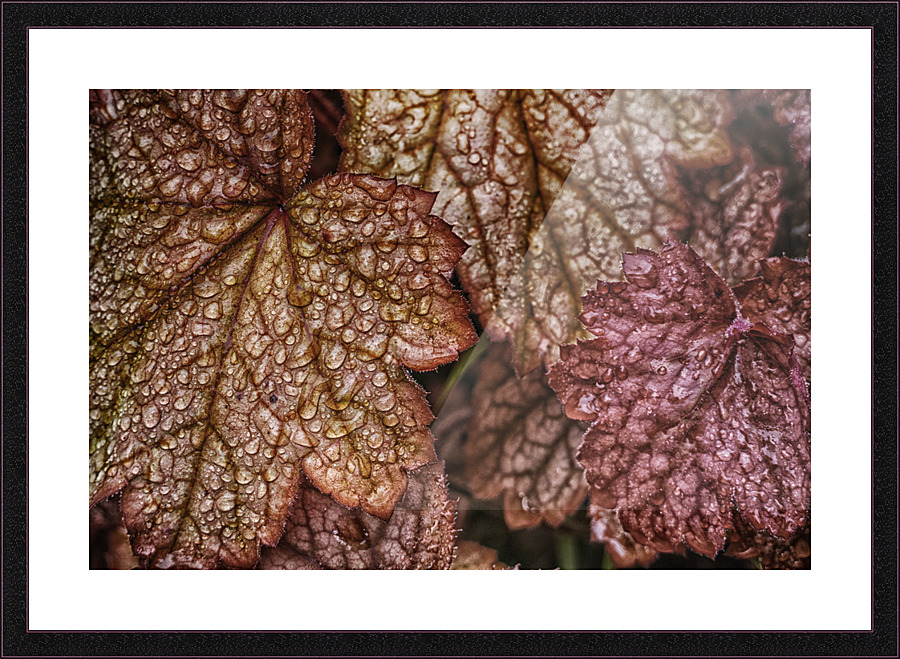 droplets Picture Frame print