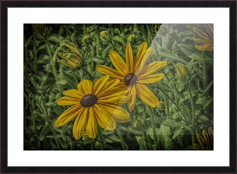 partners Picture Frame print