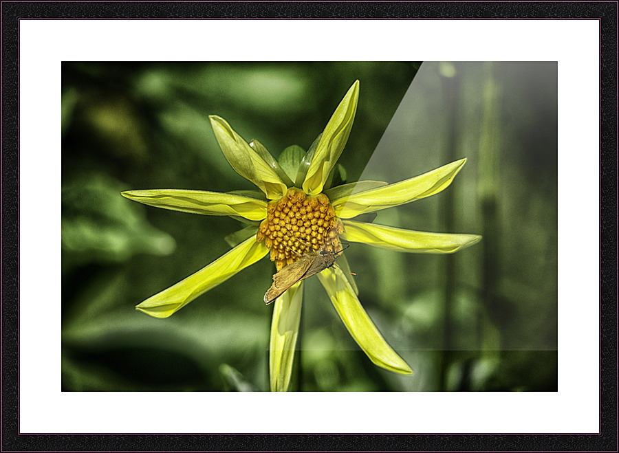 pinwheel Picture Frame print