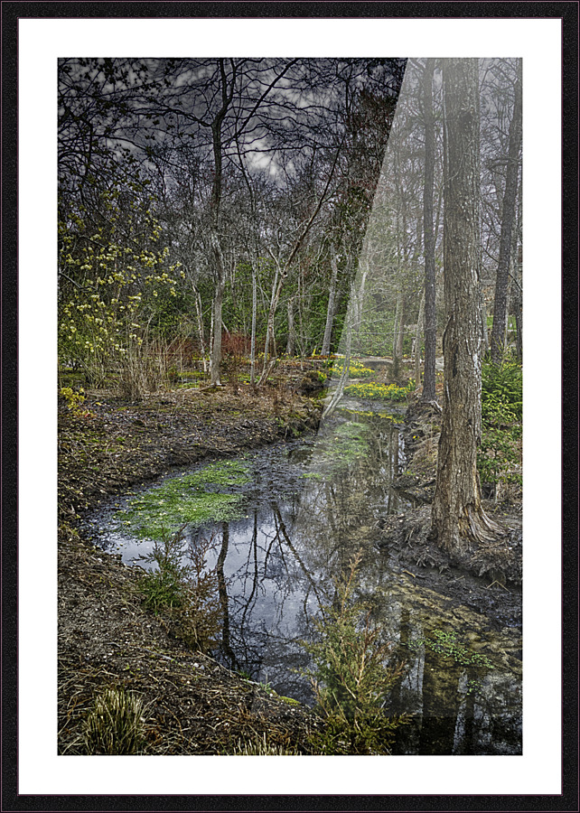 stream Picture Frame print