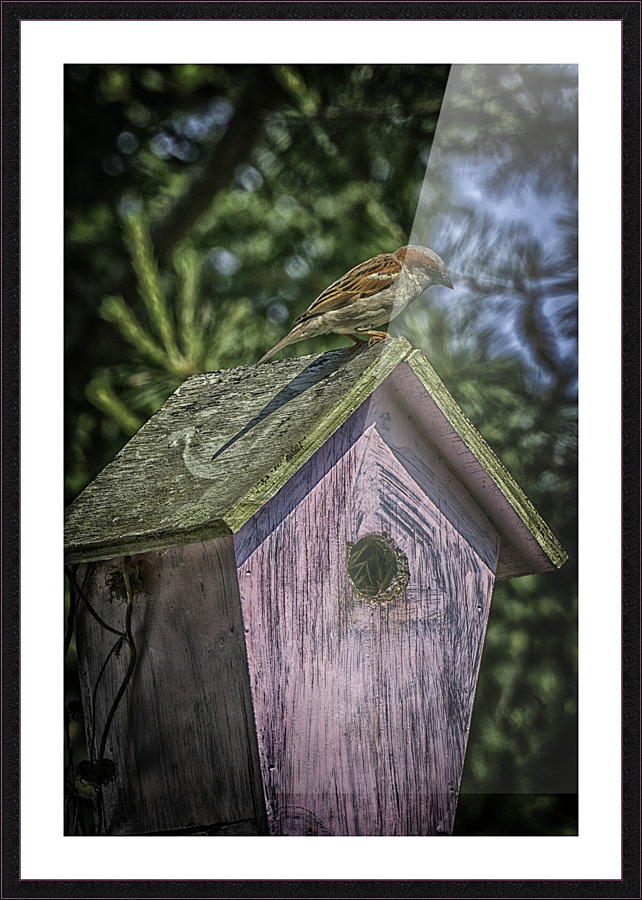 nesting Picture Frame print