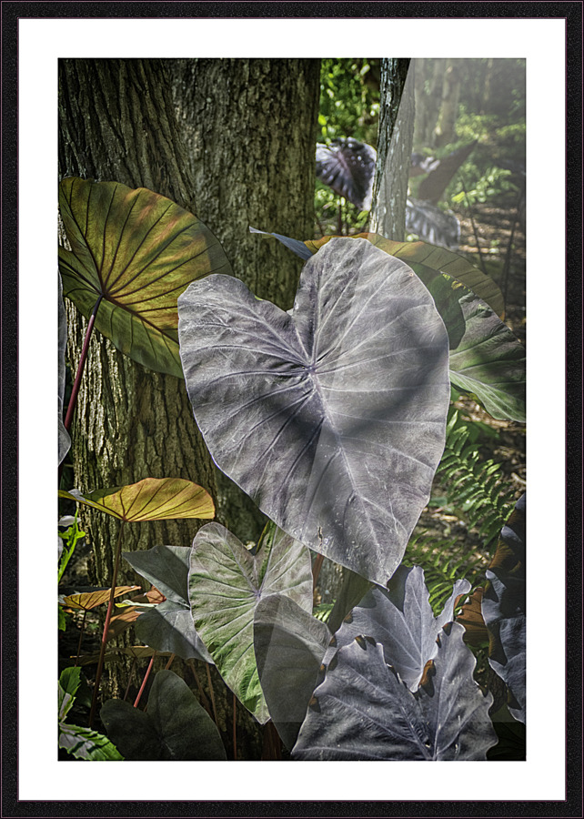 jungle Picture Frame print