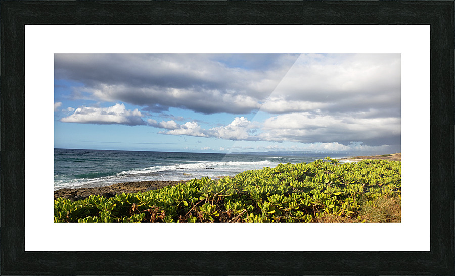 Braving The Waters Picture Frame print