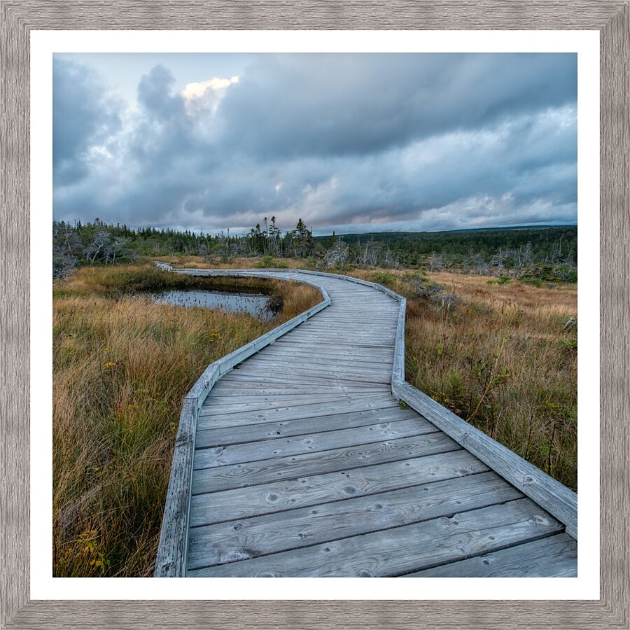 Autumn Walk - 2 Picture Frame print