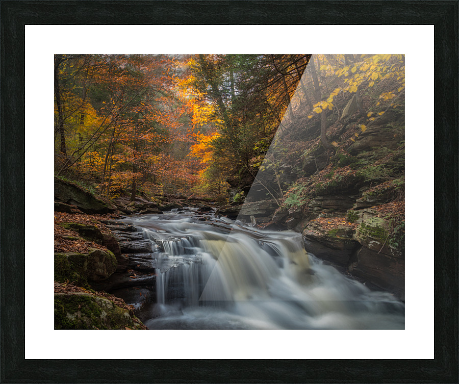 Ricketts Glen in the fall 2  Framed Print Print