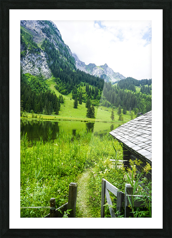  Fine Art print